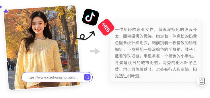 从视频链接提取并整理内容信息的功能结构示意